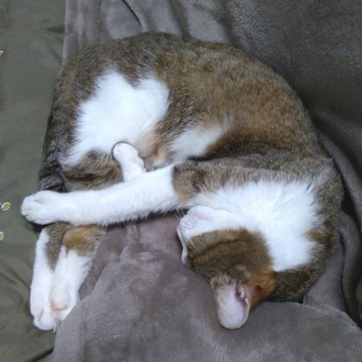 549b13db 986d 4447 a552 60a8d1600faf 1541334670404