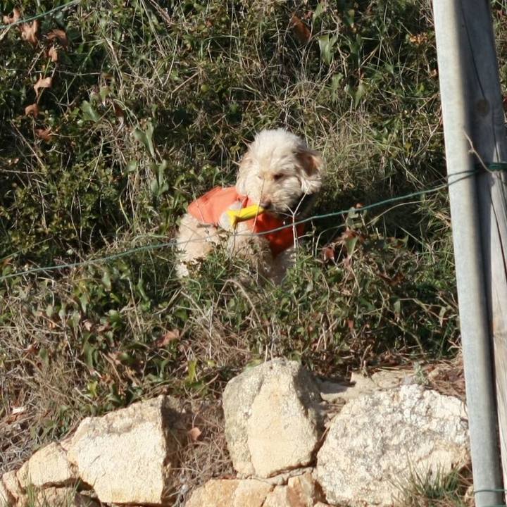 549b2578 a07d 408a 98b2 d732055952a1 1548017072310