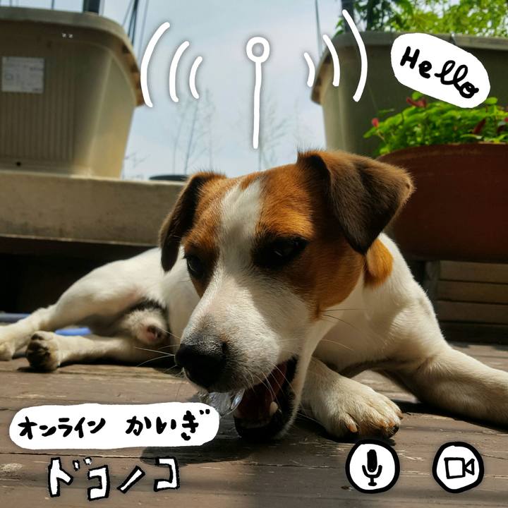 549b9f12 eb5d 49b8 8b48 617d087502ad 1590826503758