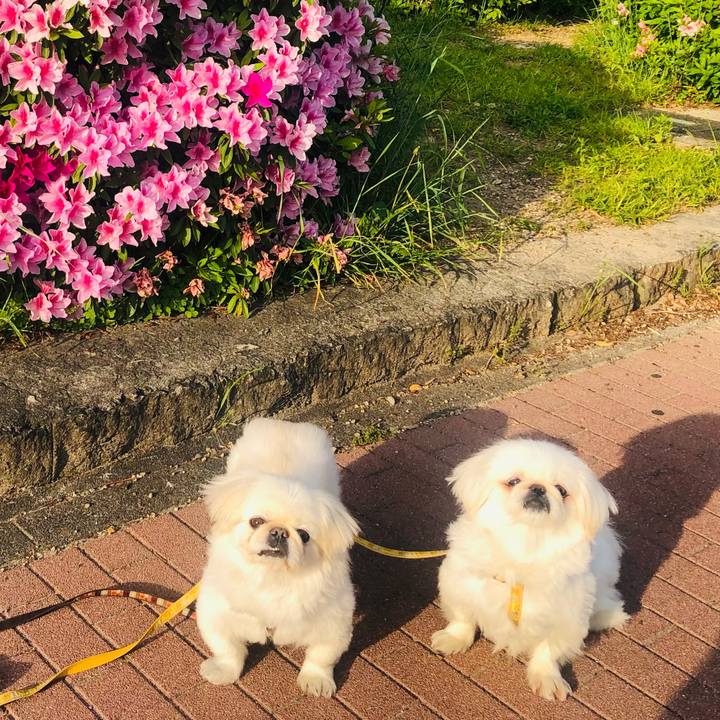 549c58ab f283 4993 9624 1e7b3394094e 1619178717767