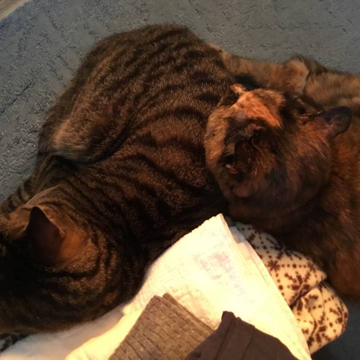 549c5c7f 97e2 4b8d 8045 3b34b1e2ed01 1521357672481