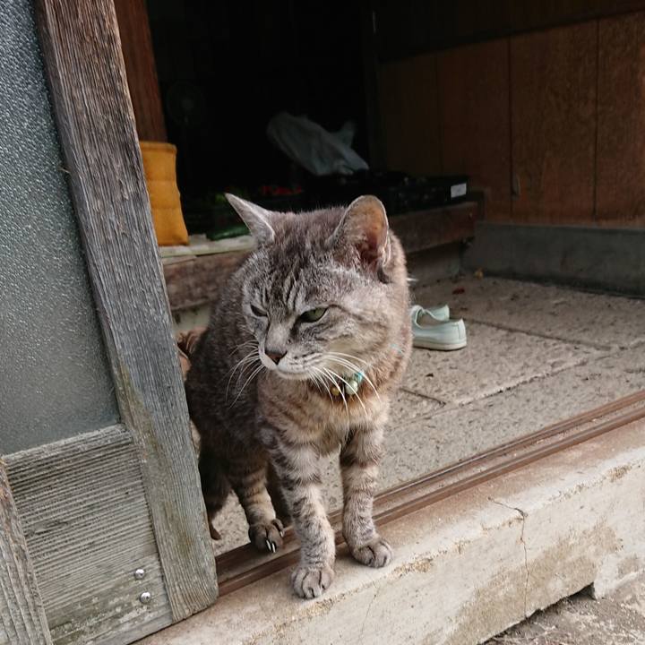 549cb1a9 bf72 45af 9756 de720d4353d1 1569018584094