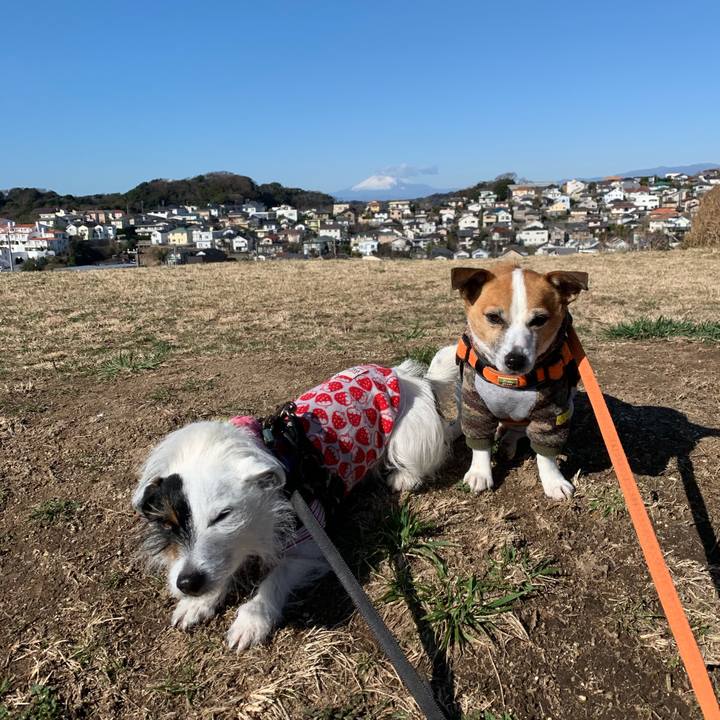 549cb8a5 1b71 4370 a3a0 e8e84b73e13e 1613439392452