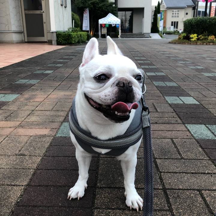 549cdf37 236f 471f 830a 3491f9760b8c 1662354412147