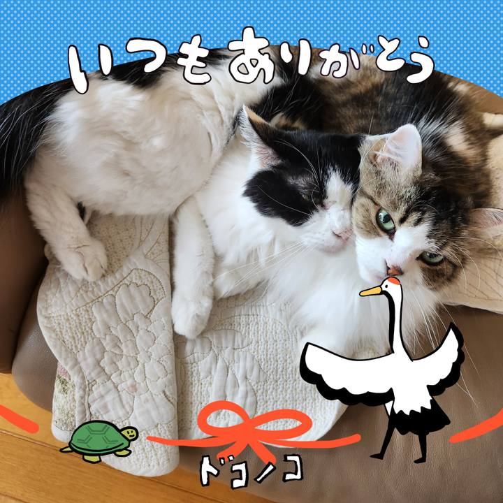 549d0773 163f 4cc0 9da8 fbabdd5acb4c 1727045378191