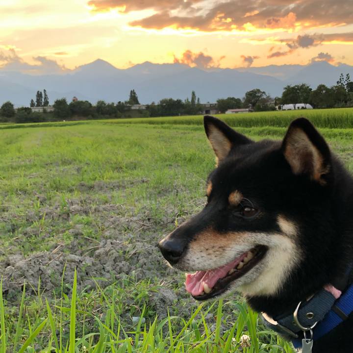 549d139d 5362 45e2 ad66 4f8fd393c8b8 1597319064266