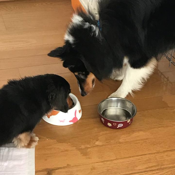 549d1b0e 6cc1 442c 9f51 870359743948 1529876999902