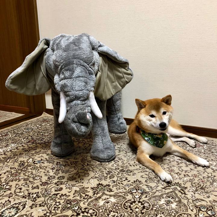 549d25d3 f909 451b b3ff 77dd1bc7ab4a 1554289458333