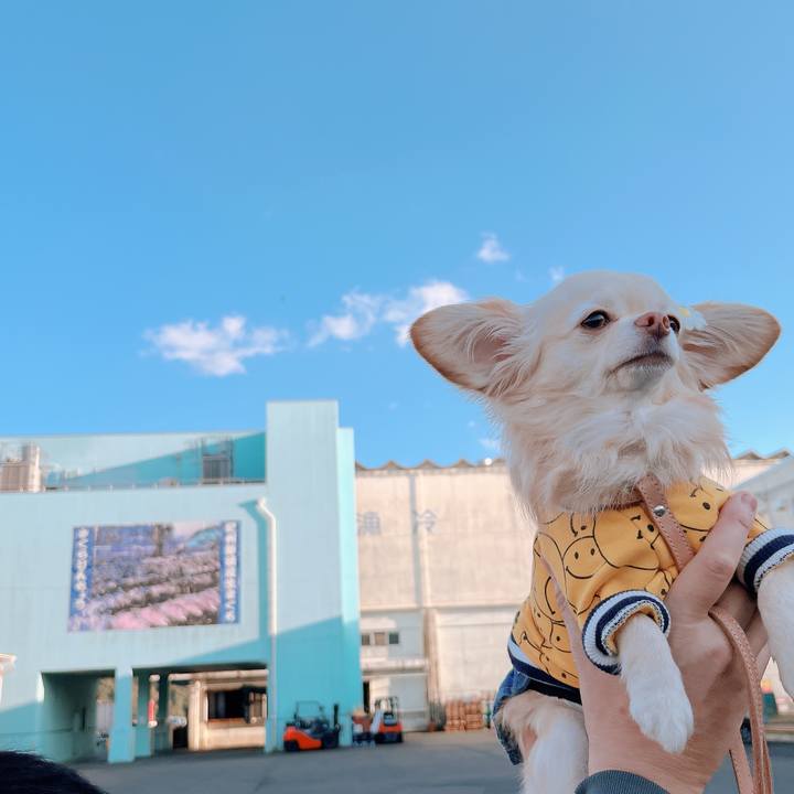 549d2645 95f9 4b5d a4ca c67a9940d865 1673410324258