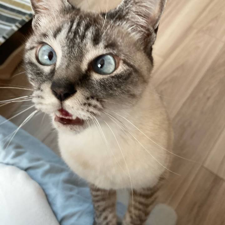 549dd933 c280 473c a978 1384230d080b 1651734743351