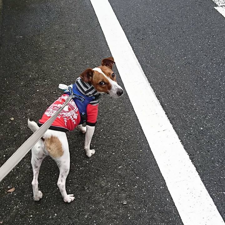 549e48fd e400 42e1 a9f6 0c0f6b29f932 1538285481771