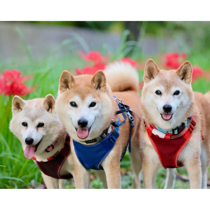 549e5221 79fb 4ec3 9ebc 081ecba5d26c 1759245820788