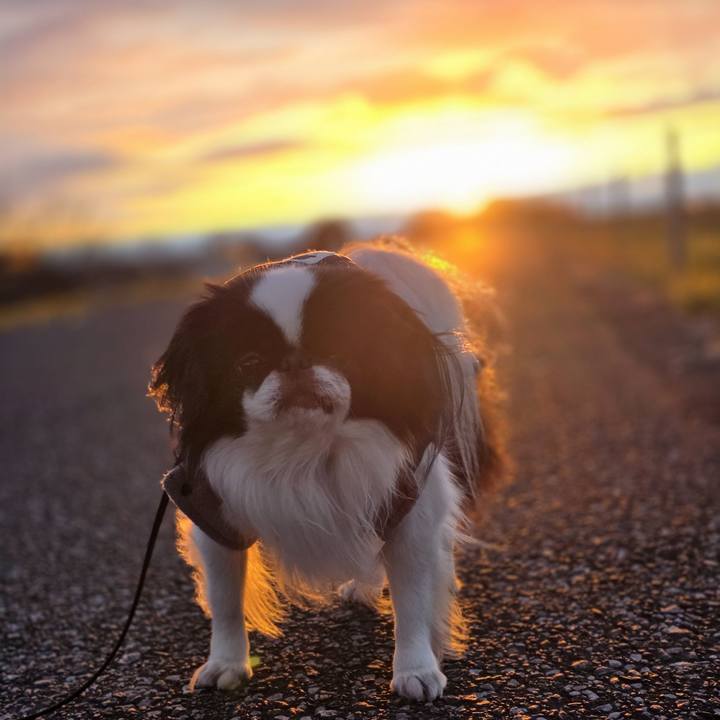 549e6ca2 0766 43fd 821f c7efb3767627 1767324213997