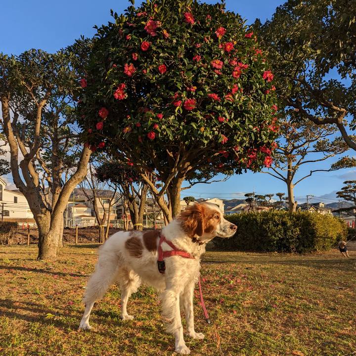 549e87e8 3560 4247 8d55 194562ed3eba 1671707997524