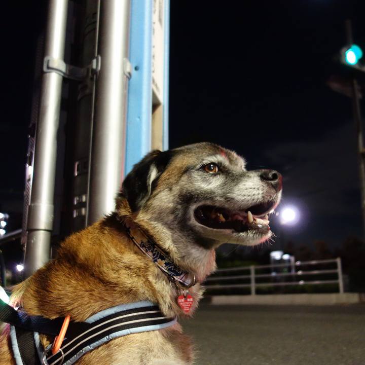 549e9abc 2601 4ba0 a940 a1acf7df8bd6 1617582537095