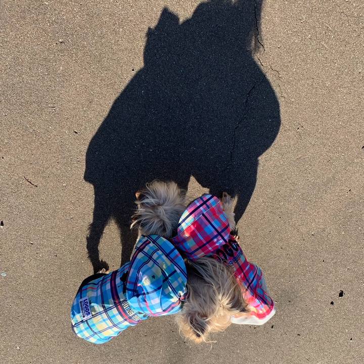 549e9b92 1184 436f 8557 dc99bbb793e8 1700126724647