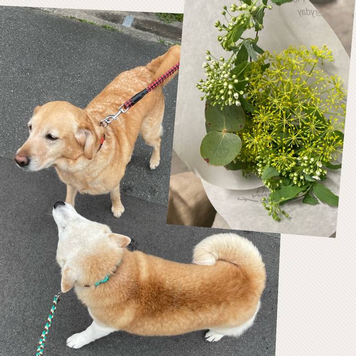 549eb3f2 cd33 469b 85a9 335912c6c028 1648547300719