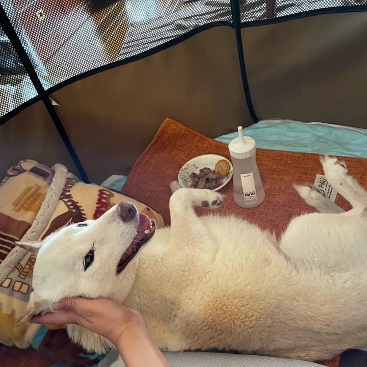 549ee328 a8bd 403d ad89 a16bb380ec3a 1665465212734