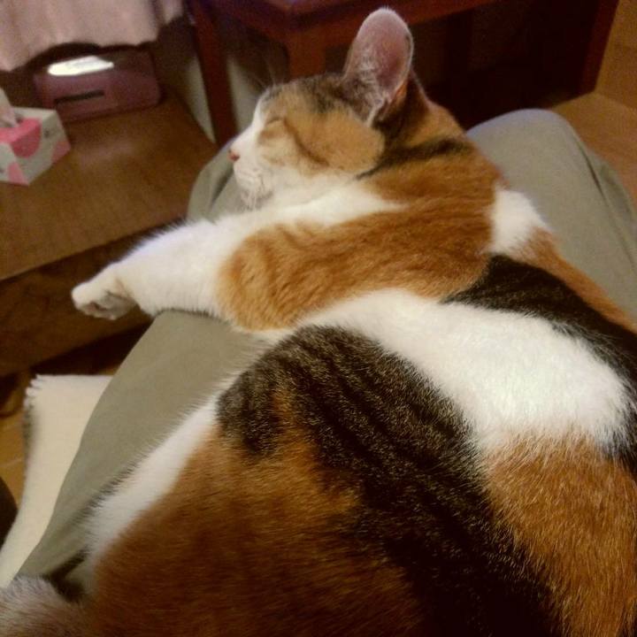 549f0da7 5f71 4d09 a27f 760884800cb3 1621422600728