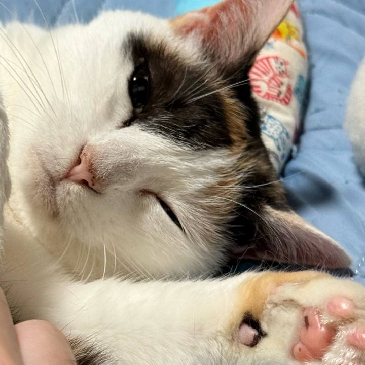 549f1ef3 abbd 4d70 a5c7 6d94b5c22e6f 1751682433478