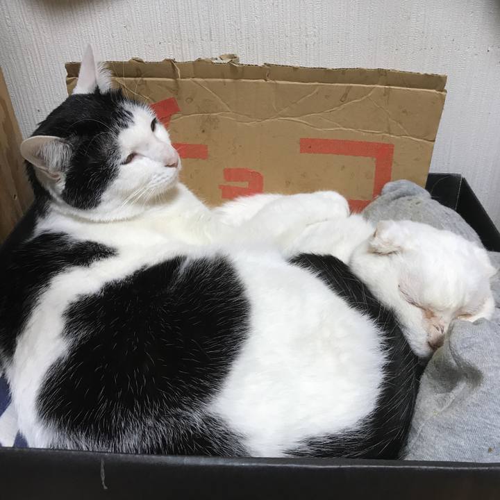 549f21ae 2e57 42e7 81d2 cf68ba32bb3c 1546074413097