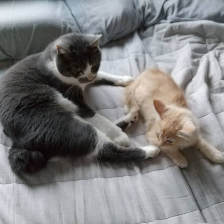 549f21da 8133 422b b378 016757e7d68e 1604705526790