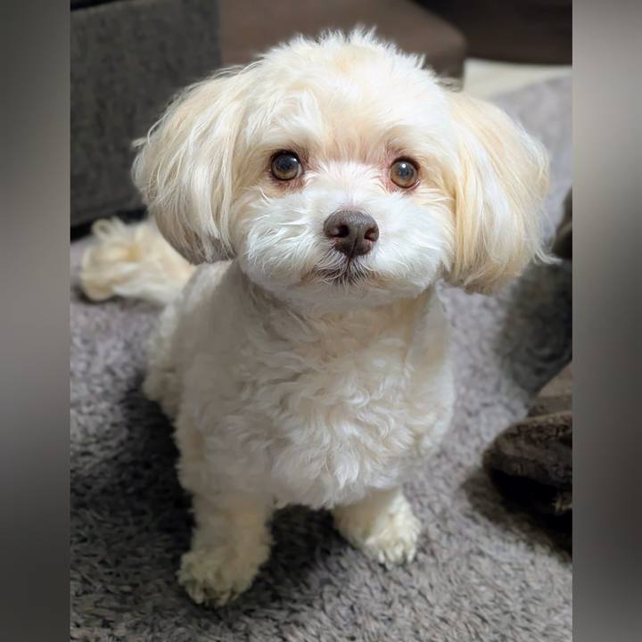 549f6011 dc0f 4b56 b0a4 697eac63c4d0 1768395038541