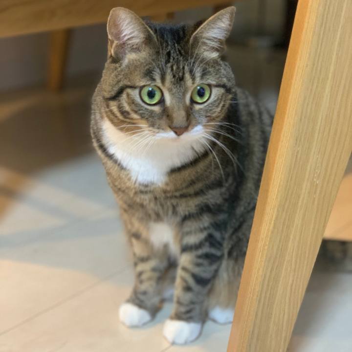 549f7431 0b20 4fe7 8815 ec4c61e3ff2b 1607518041099