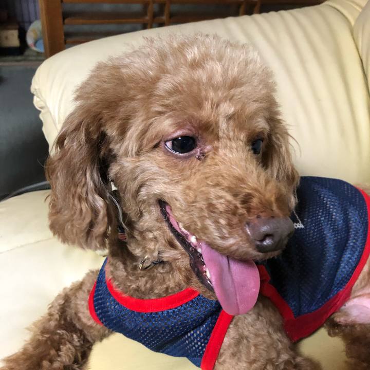 549fada0 b2e6 4b1c be29 b830172e61f3 1596947526627