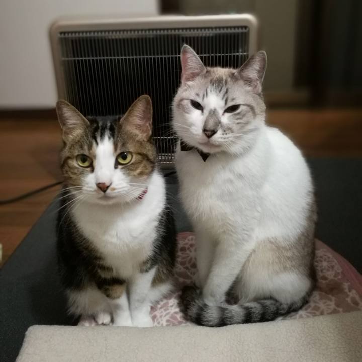 549fc088 7d05 4541 a858 1bff26af1fd7 1509530109018