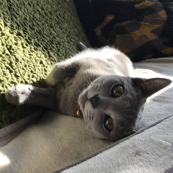 549fd8bf 758a 4fcf a14f cee82b46e500 1516801041203