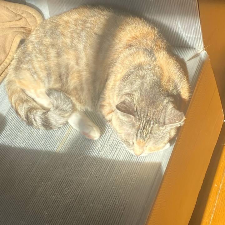 549fdaf9 ce5d 4add b463 b32cbeb1968a 1674963324004