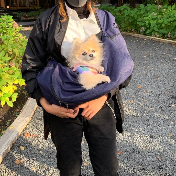 549fdd1c 143f 41d0 a656 aef7eba589d0 1666567749332