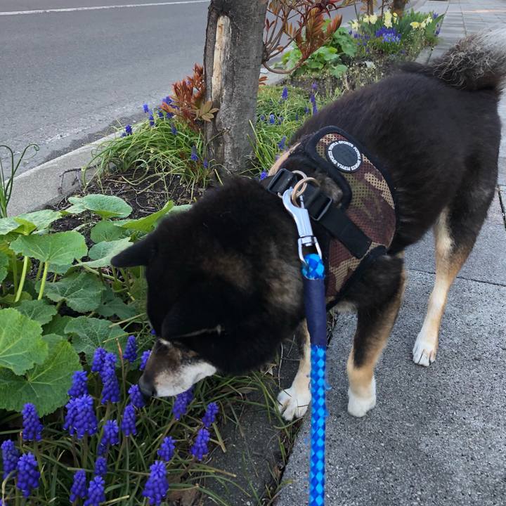 549fee98 9497 4b6f 8499 989a6b54a69d 1621589420489