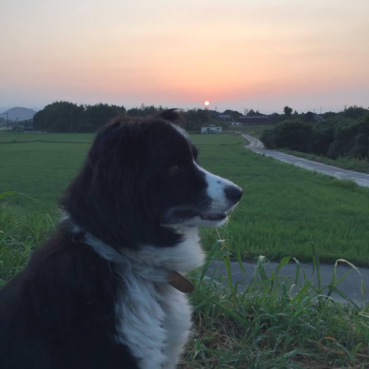 54a00aa9 7f6f 4800 9eaa 3f08e7b50a09 1533417084329