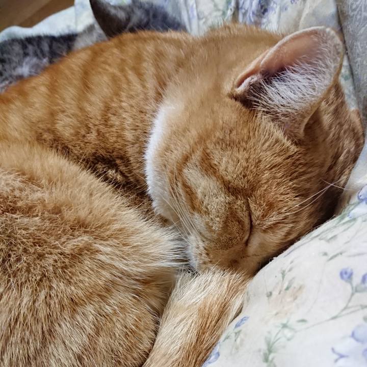 54a024f5 01fa 429e 864b a0143e6640f3 1573386395129