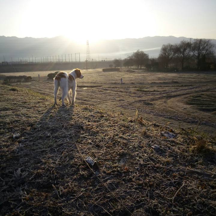 54a03af1 2852 4b1a a7b9 4240eec13e4d 1516494441130