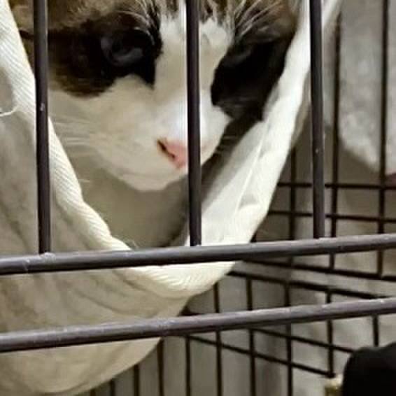 54a04117 9981 440d a18e 4b5eea82bc66 1737538873158