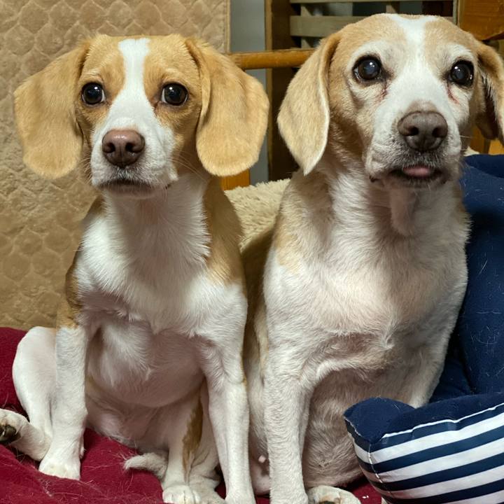 54a0ccbe 8fc4 499b 81a9 a1b7058ad999 1572442559130