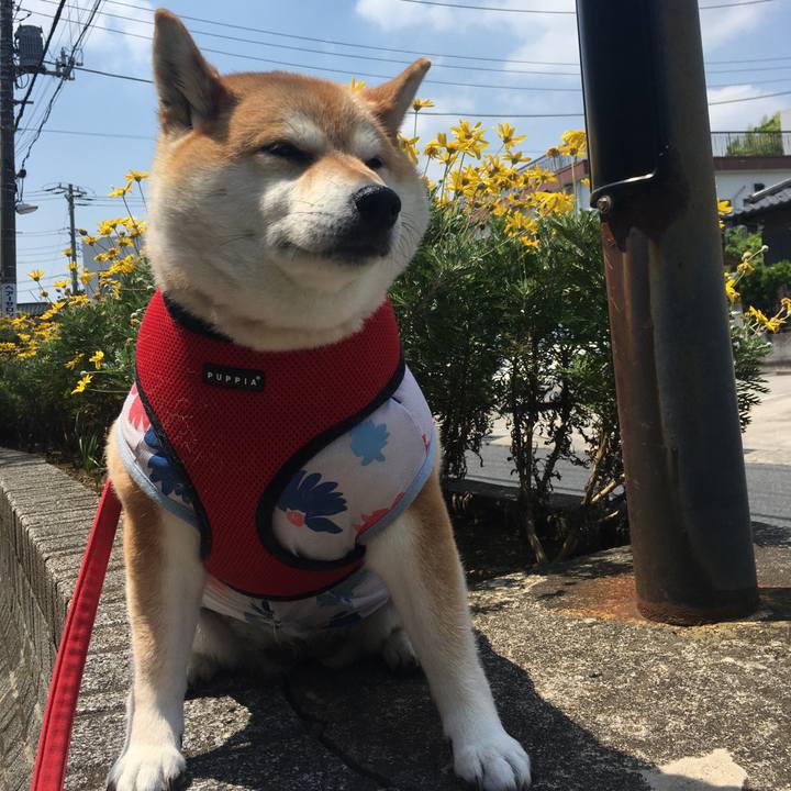 54a11d3c 445a 46e6 8f70 2150f9aaf430 1588216455562