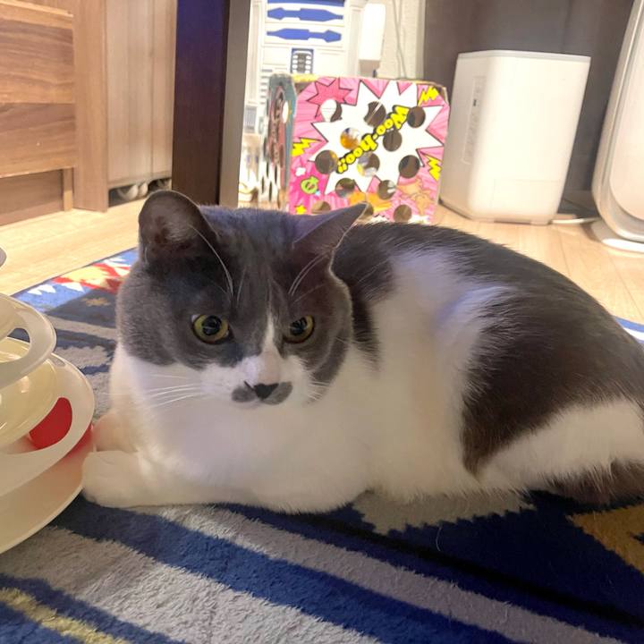 54a12ff1 8834 497a 9266 7846de023908 1667135407386