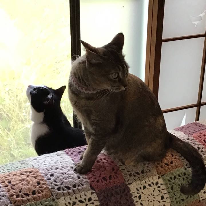 54a15df2 23e7 40e9 9256 eecaf51f1a23 1653780510774