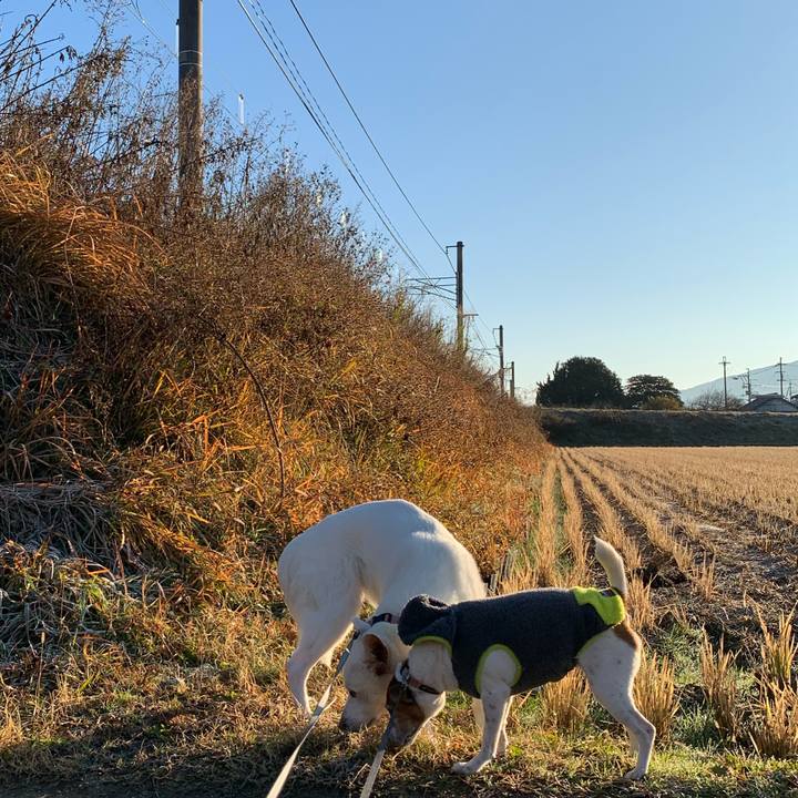 54a16086 d142 4e7f ab90 e6f14cc58228 1577577789049