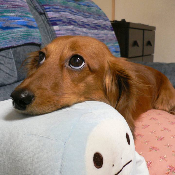 54a1a90b 0ecd 4b40 bac1 bd7423a9ac3b 1526575408567