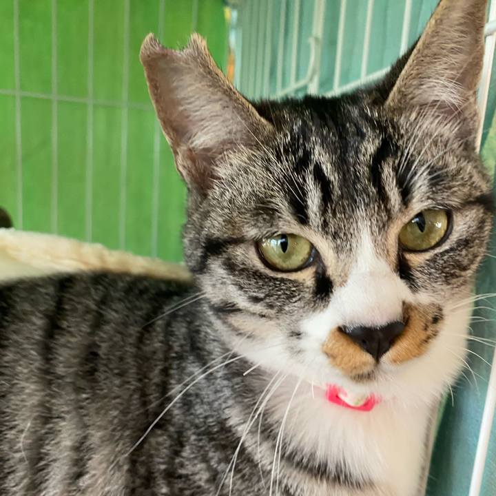 54a1c213 f882 48f5 b2e5 c09fc9e70248 1702790927813