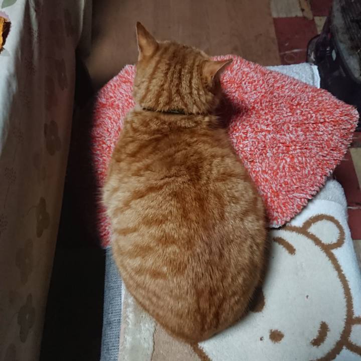 54a1c47d 1476 48c9 977e b1a943dd4822 1580807728861