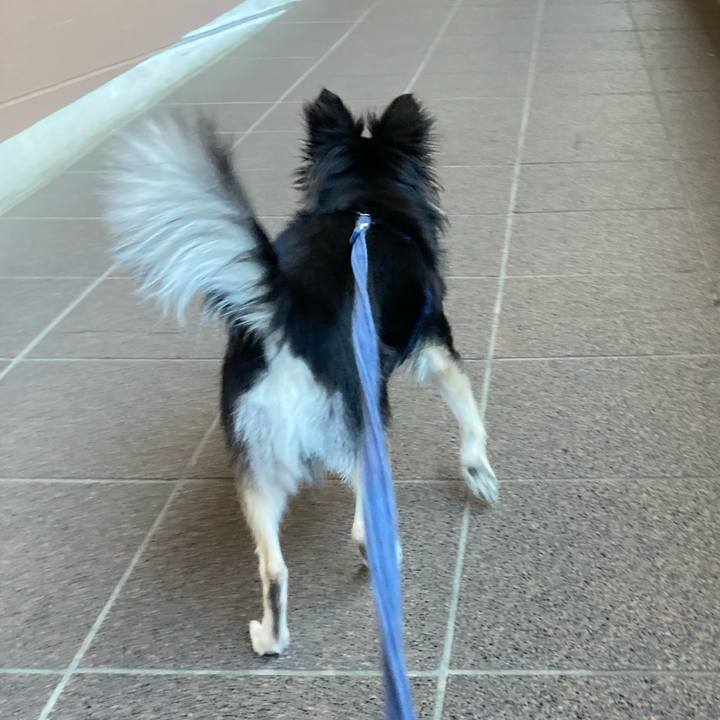 54a2041e 76c5 46e8 be00 2f69f8a55e66 1633236189812