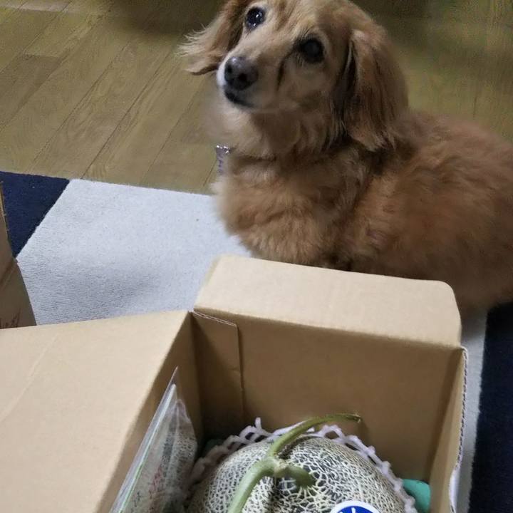 54a24cf2 83f8 4e26 8917 c0cb68435bf9 1627645341968