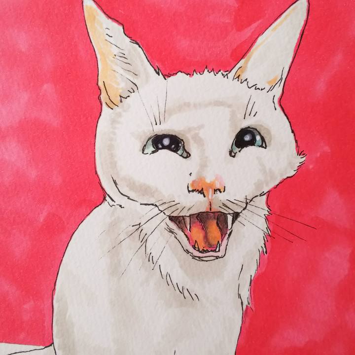 54a251bf 0326 4f4e 8084 0aafa84f5ad4 1550837806758