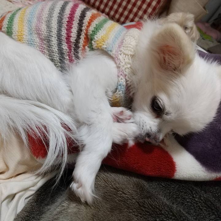 54a270bb 6672 437d ae72 e4e37e3fa0a5 1611395054675